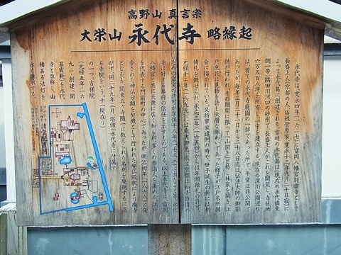 RIMG0602