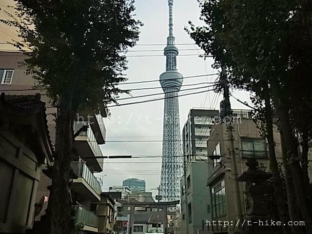 RIMG0703