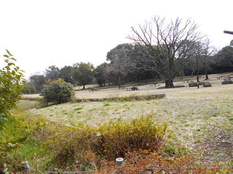 DSCN6709