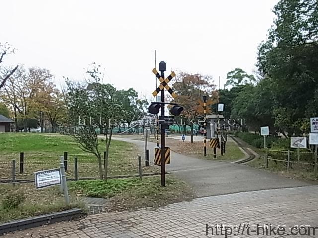 RIMG0033