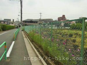 RIMG0783