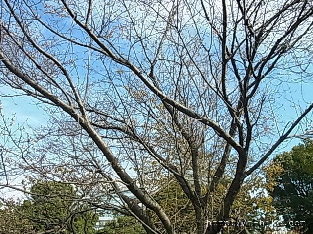 RIMG0364