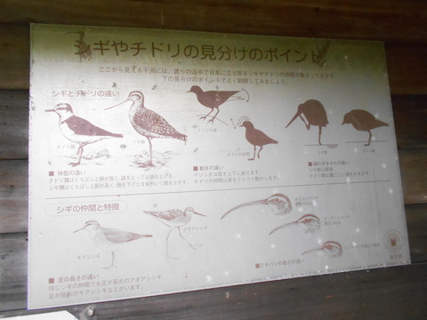 DSCN5978