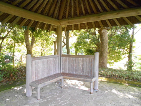 DSCN6166