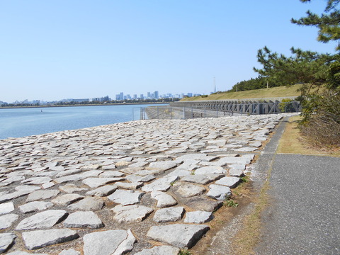 DSCN7355