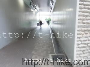 RIMG0323