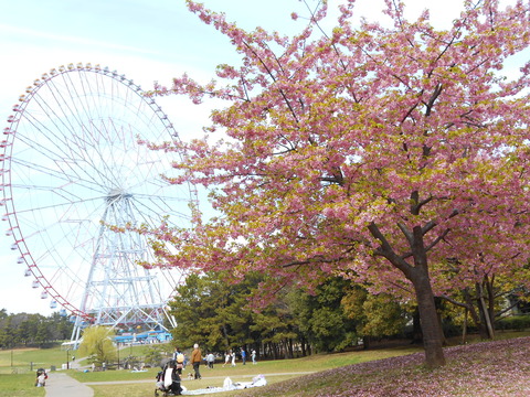 DSCN6722