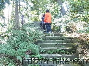 RIMG0062