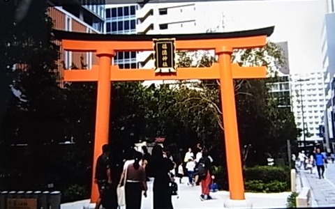 RIMG0506