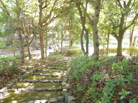 DSCN6170