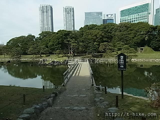 RIMG0395