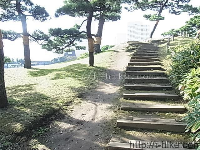 RIMG0381