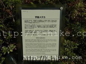 RIMG0384