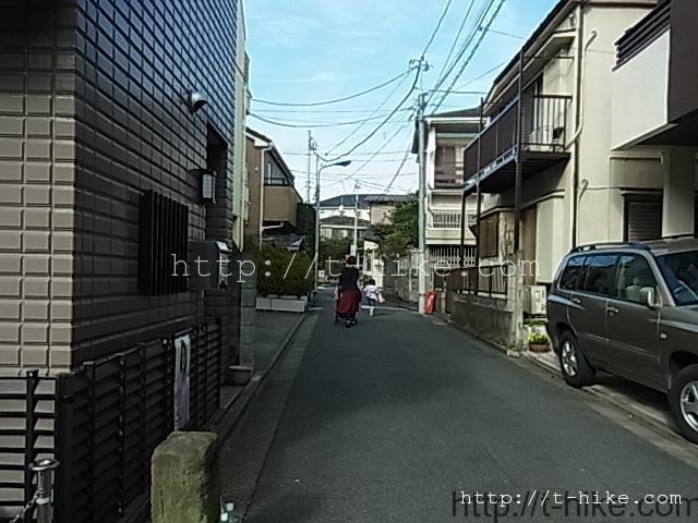 RIMG0317