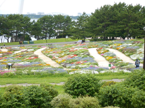 DSCN5938