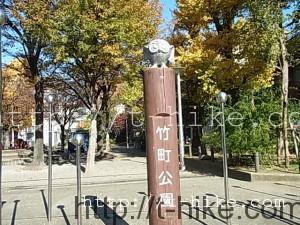 RIMG0051
