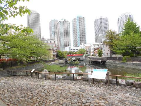DSCN8043