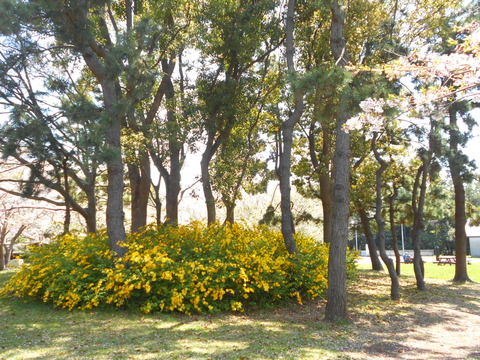 DSCN7313