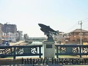 RIMG0231