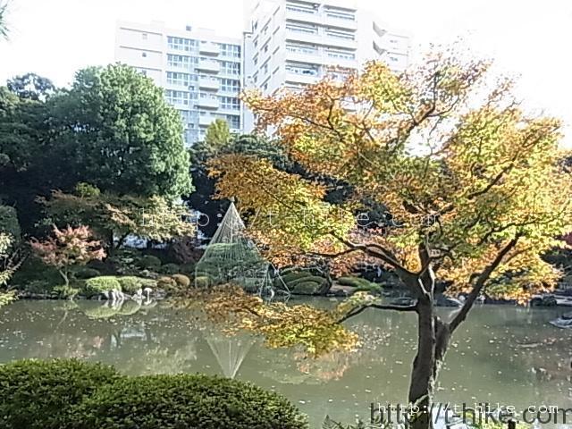 RIMG0143