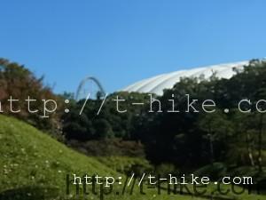 RIMG0118