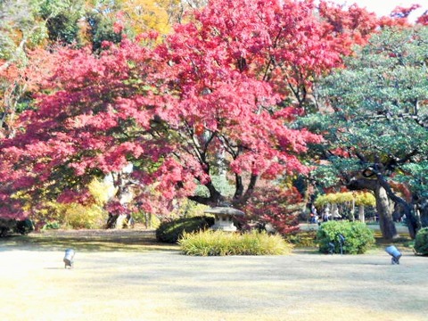 DSCN0642