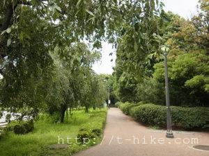 RIMG0201
