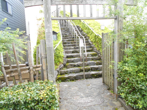 DSCN6306