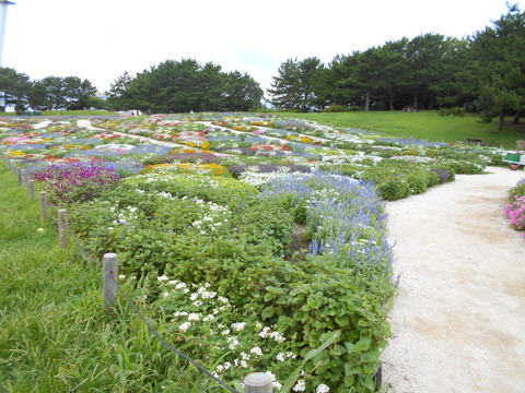 DSCN5942