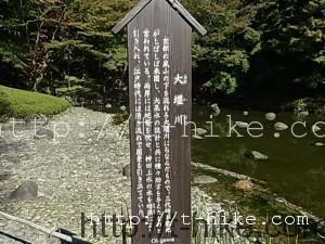 RIMG0137