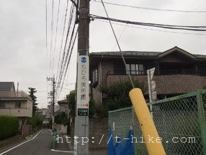 RIMG0784
