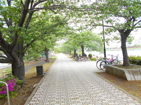 DSCN8042