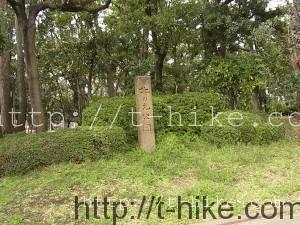 RIMG0542