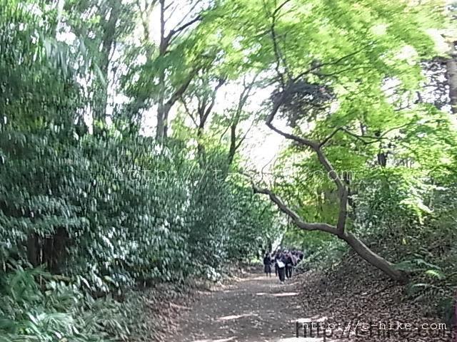 RIMG0236