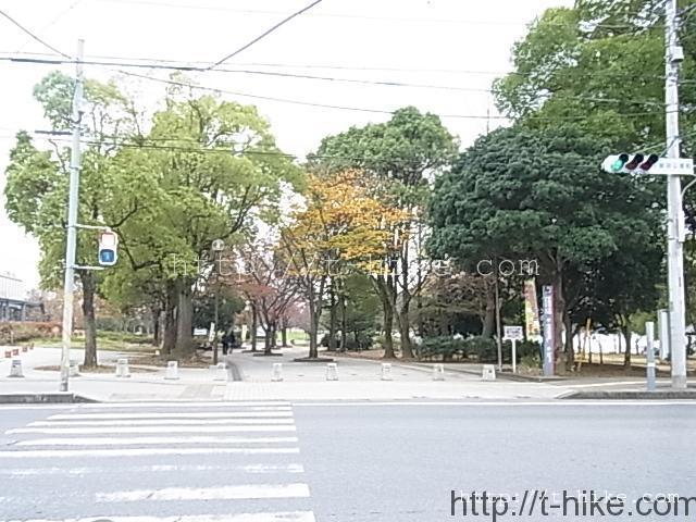 RIMG0026