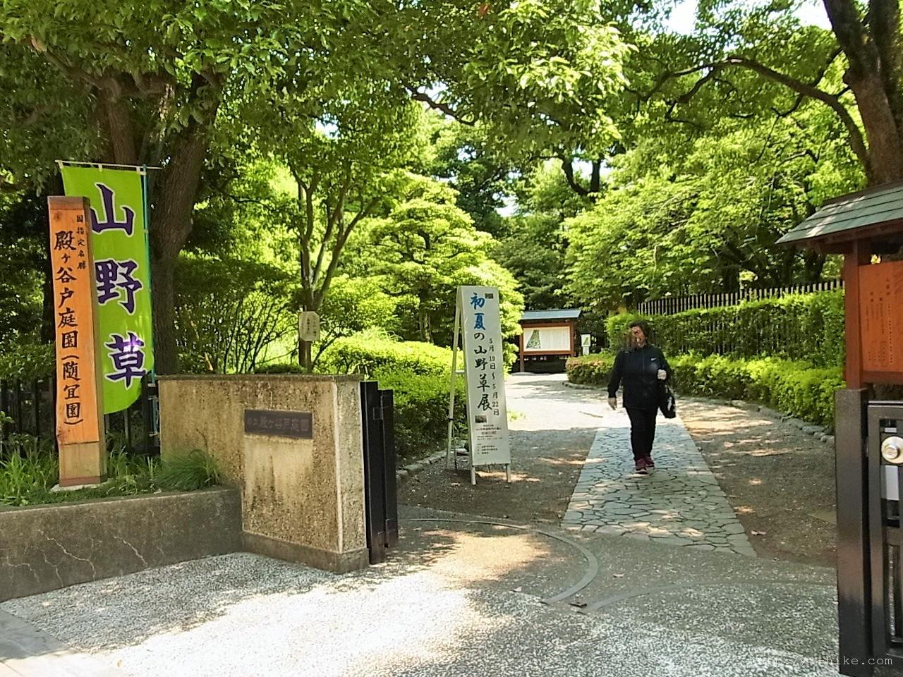 RIMG0963