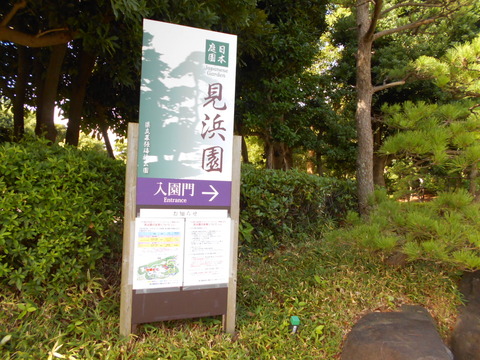 DSCN6110