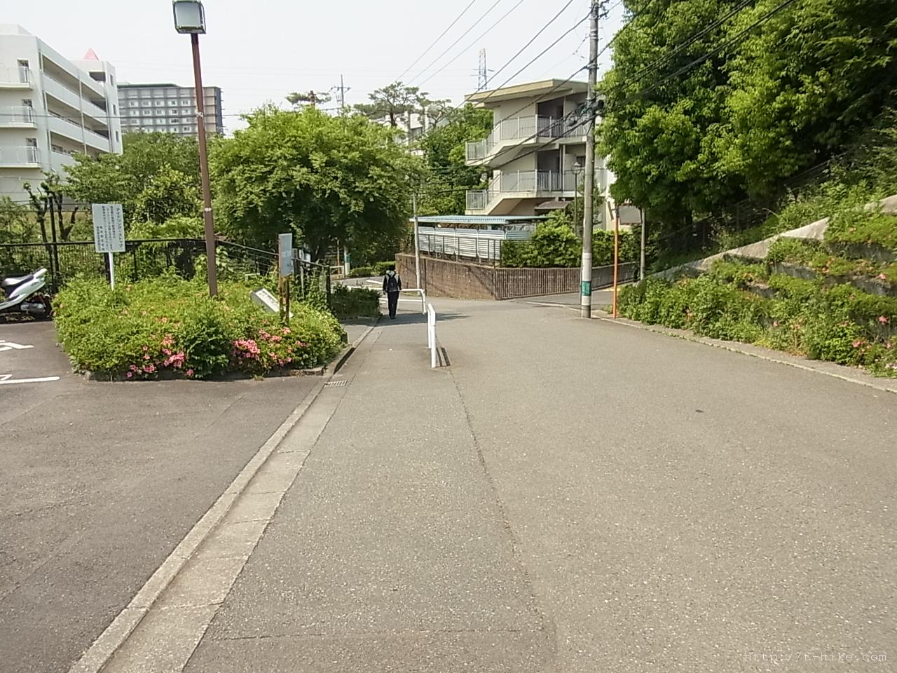 RIMG0806