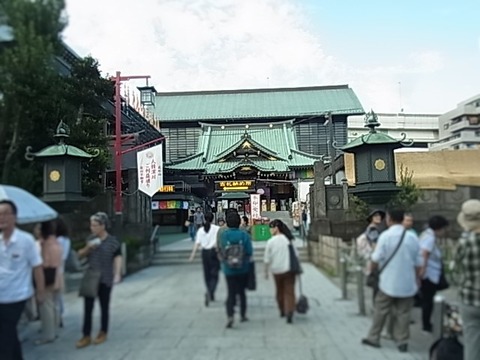 RIMG0608