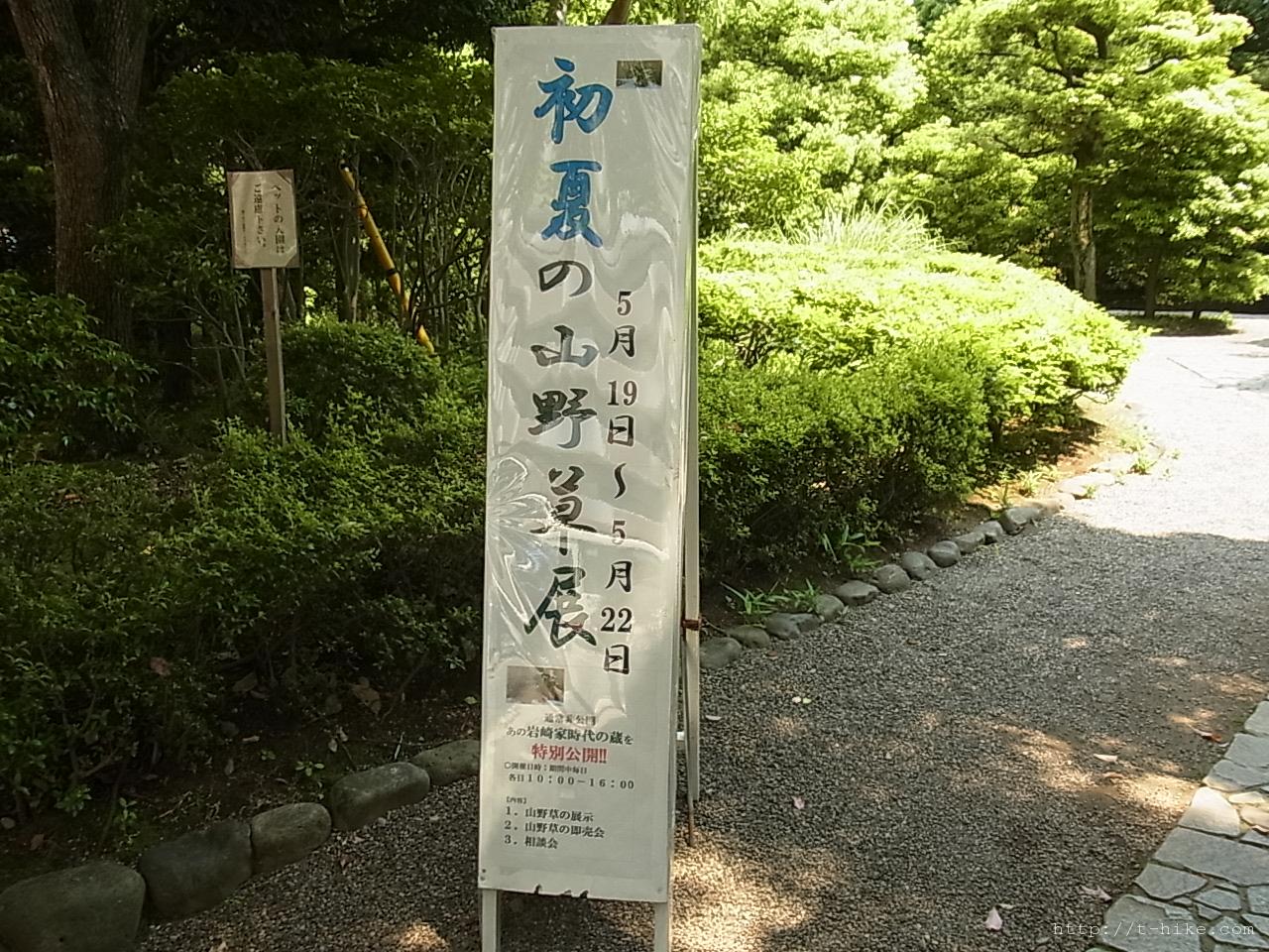 RIMG0965