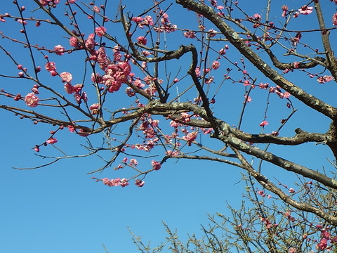 RIMG0658