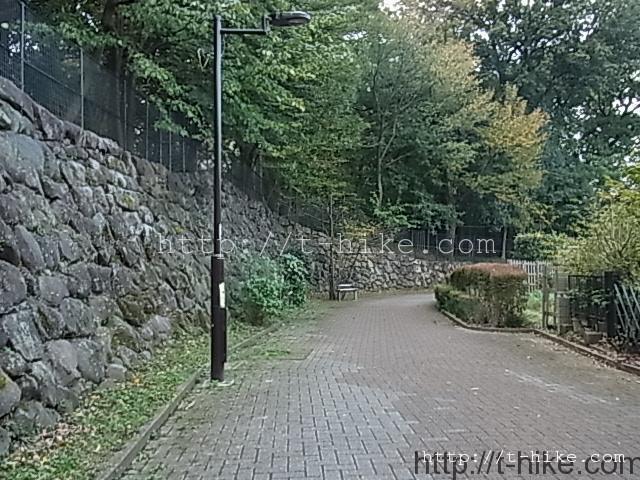RIMG0496