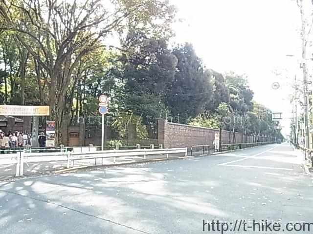 RIMG0233