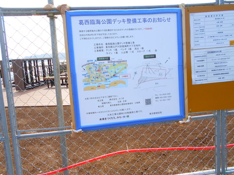 DSCN6646