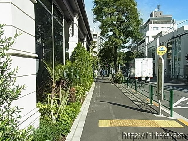 RIMG0261
