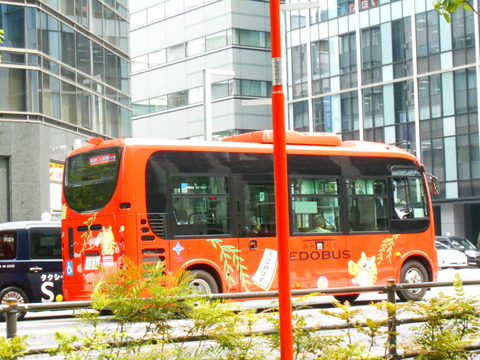 DSCN8669