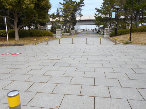 DSCN6743
