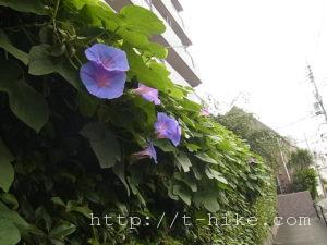 RIMG0177