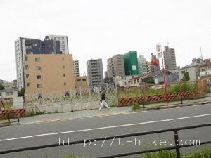 RIMG0552