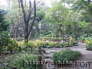 RIMG0248